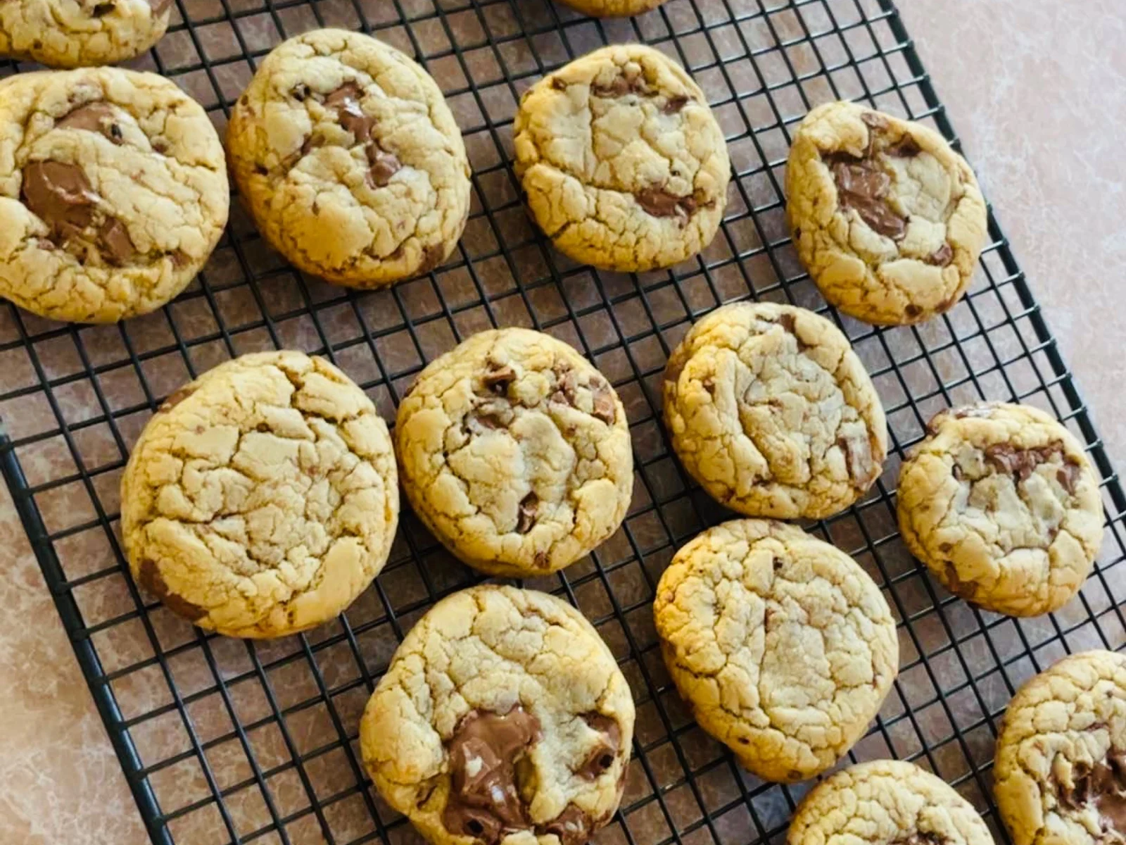 Fresh chocolate chip cookies cooling on a rack